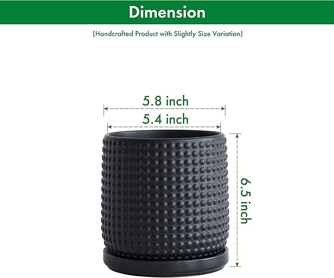 D'vine Dev Set of 2 Ceramic Plants Pots, 6 Inch Beaded Stoneware Flower Pot for Plants with Drainage Hole and Saucer, Ebony Matte, 27-E-X-6