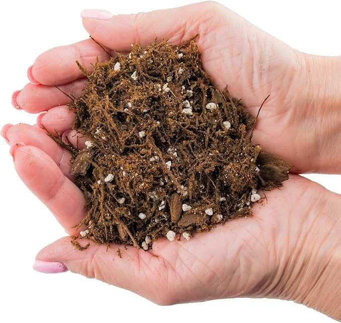 Premium Gardenera House Plant Potting Mix | Fern + New Zealand Bark + Perlite | Great for Pothos, Spider Plants, Montsera, Philodendron, English Ivy - 1 Quart Bag