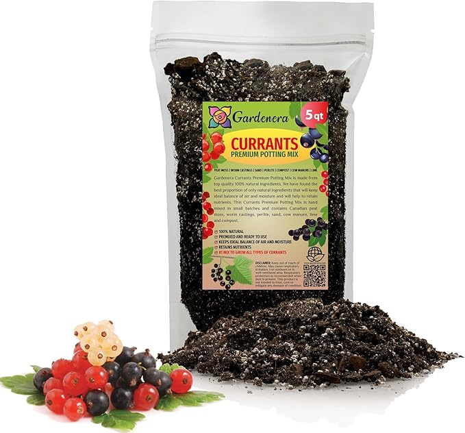 Premium Currant Plant Potting Soil Mix - Optimal Nutrient-Rich Blend for Thriving and Juicy Currants - 5 Quart