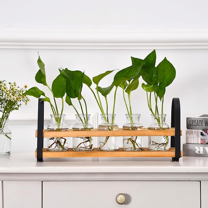 Plant Propagation Stations with Wood Stand, Desktop Plant Terrarium for Propagating Hydroponic, Flower Vase for Home Kitchen Office Decor, Plant Lover Gifts