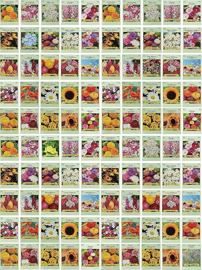 Set of 500 Assorted Flower Seed Packets! Flower Seeds in Bulk - 20+ Varieties Available! (500)
