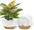 10 Inch Pots for Indoor Plants, Large Self Watering Planters with Drainage and Saucers, Plastic Outdoor Flower Pot, Set of 2, White