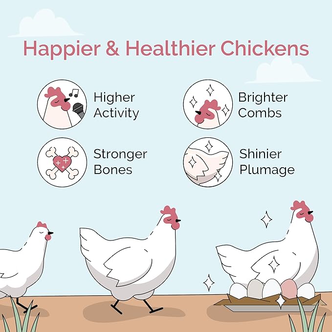 Chick Grit for Baby Chicks - Chickens Age 0-8 Weeks, 100% Natural Mineral Chick Grit Quartzite, Poultry Grit Digestive Aid, USA Mined, 4 lbs