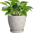 Ceramic Plant Pot 6 Inch - Ceramic Planter with Drainage Hole and Saucer Round Planter Flower Pot for Indoor Plants Outdoor Home Garden Office Decor White