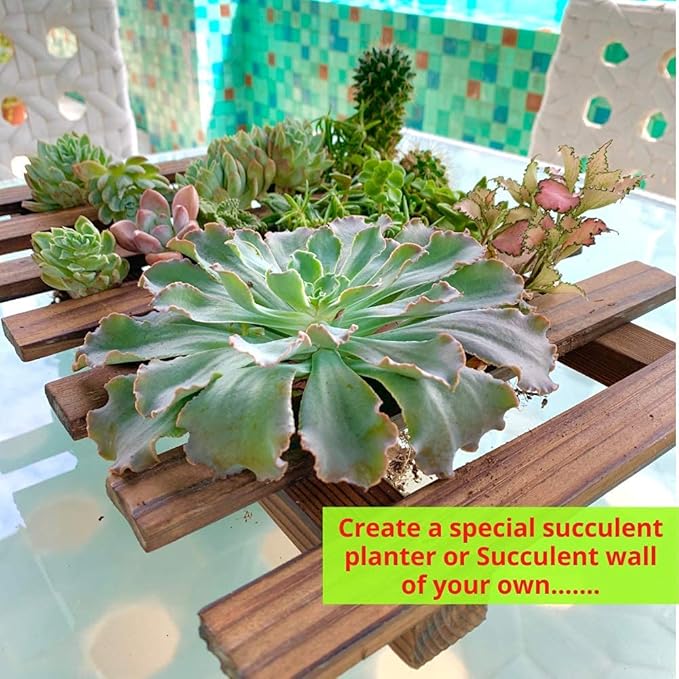 ShopLaLa Wall Planter – Wooden Air Plant Succulent Holder Hanger Indoor Outdoor, Live Orchid Wall Wood Display Frame Vertical Garden Balcony Deck Bathroom Macetas Para Plantas De Aire 15.7" (40cm)