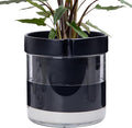 Phoenix Vine 8 Inch Self Watering Terracotta Planter, Black Terracotta Clay Pot with Glass Reservoir for Indoor Plants, Herbs, Flowers, Set of 1, 52-C-H-1