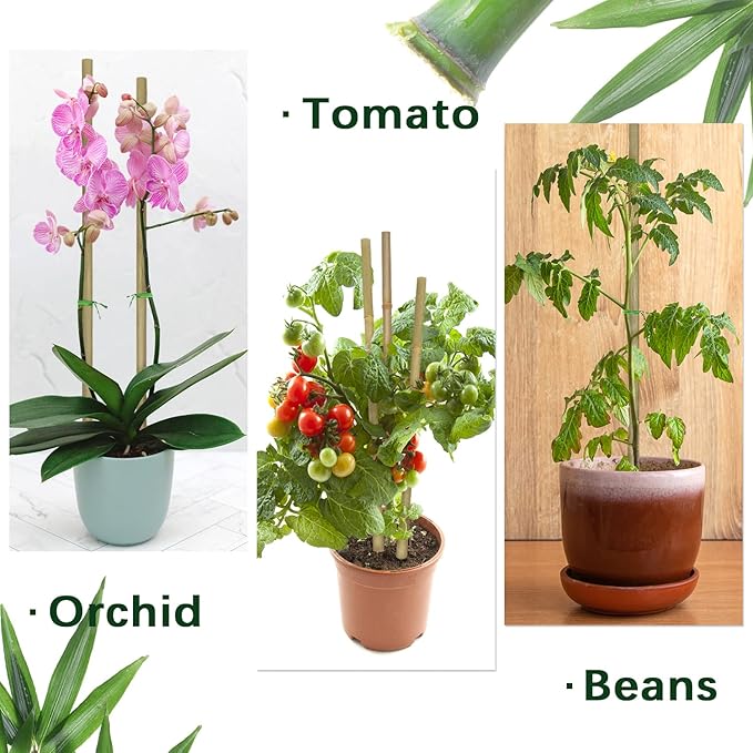 Plant Stakes,12 Inches Natural Garden Bamboo Sticks,BOVITRO 20Pcs Plant Support Stakes for Tomatoes,Beans,Vegetable and Potted Plants