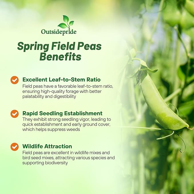 Outsidepride Dundale Spring Field Peas Seeds - 5 lbs. Annual, High-Protein Legume & Cover Crop Seeds for Forage, Food Plot, Gardens & Pastures - Ideal for Improving Soil Health, & Erosion Control