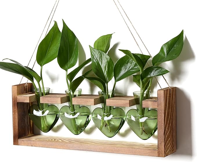 Plant Propagation Stations Heart Plant Terrarium Kit Gift for Women Plant Lover Glass Vases