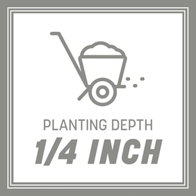 Pennington Contractors Grass Seed Mix Central 20 lb