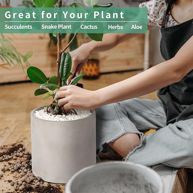 Mozing Cement Plant Pots Indoor - 5.9 inch Concrete Planter Pot for Planting - Modern Stone Clay Flower Pot with Drainage Hole for Garden, Home, Office Decor, Grey