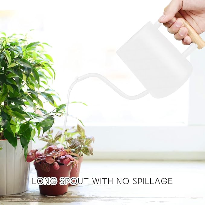 Watering Can Indoor Plants, 35 oz/1000 ml Metal Stainless Steel Watering Can Pot with Long Spout for Indoor House Plants Bonsai Outdoor Garden Flower Decorative (White)