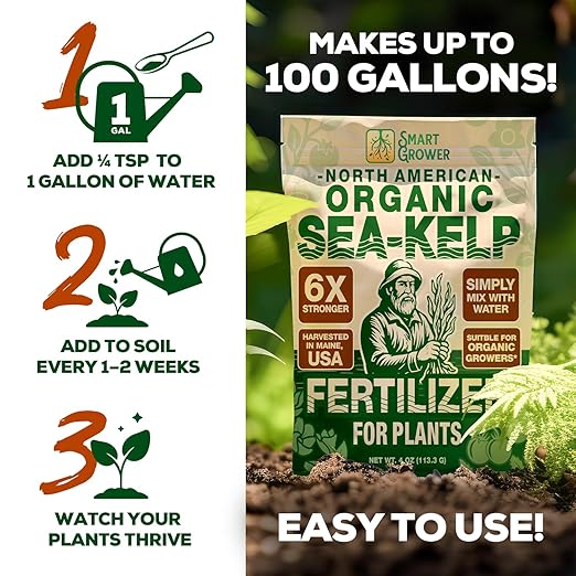 Organic Sea Kelp Fertilizer for Plants – Water-Soluble – Makes 100 Gallons – Kelp Meal Concentrate Plant Food – for Indoor Gardens, Hydroponics, Vegetables, Houseplants - Smart Grower - 4oz Bag
