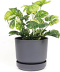Elly Décor 14 inch Plastic Cylinder Planter Pot with Self-Watering Saucer and Drainage Hole,Lightweight & Extremely Durable, 14"x 14", Gray