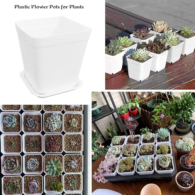 OJYUDD 3inch White Square Plastic Pots with Saucer, Drainage Hole, 24 Pcs, for Flower/Plant, Home,Company,Office and Garden(White)