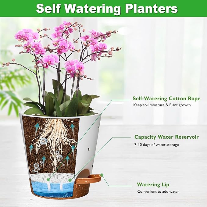 Orchid Pots with Holes, 6 Inch Self Watering Orchid Pot 2 Pack Plastic Plant Pots for Orchid, Flower (White+Brown)