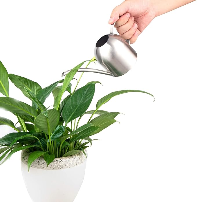 IMEEA Small Watering Can for Indoor Plants Stainless Steel Bonsai Watering can Mini Metal (15oz/450ml)