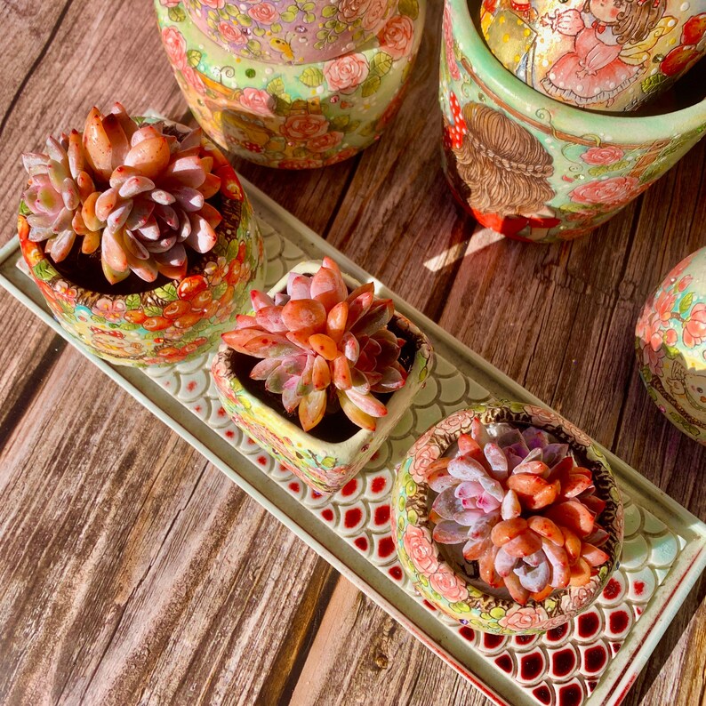 Echeveria 'Snow Angel' Multi-stemmed Cluster Approx. 3–3.5 inches Across