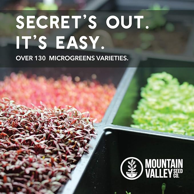 Radish Sprouting Seed - Red Arrow Variety - 4 oz Seed Pouch - Heirloom Radish Sprouts - Non-GMO Sprouting and Micro Greens