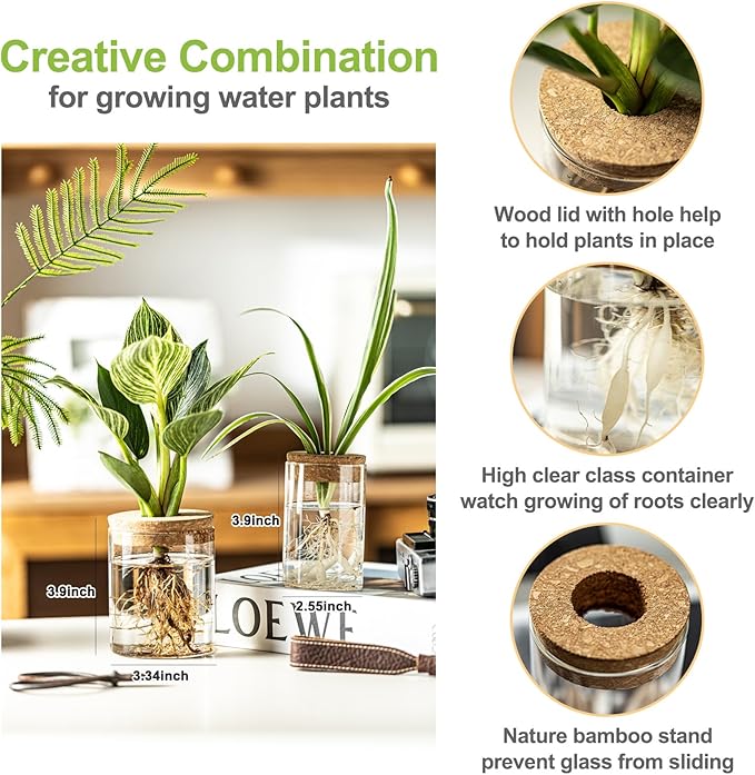 Glass Plant Propagation Stations for Plants – Set of 4(6 Large & 6 Small) Hydroponic Vases for Plant Cuttings,Flower Arrangements, Home & Office Decor–Desktop Vases for Living Room, Bedroom (12)