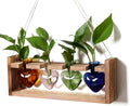 Plant Propagation Stations Heart Plant Terrarium Kit Gift for Women Plant Lover Glass Vases