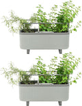 Vego garden 2 Pack Herb Indoor Plant Box, Self Watering Planters Pots for Indoor Plants with Trellis for Kitchen Window Sill or Countertop Plants Cage - Fog Gray