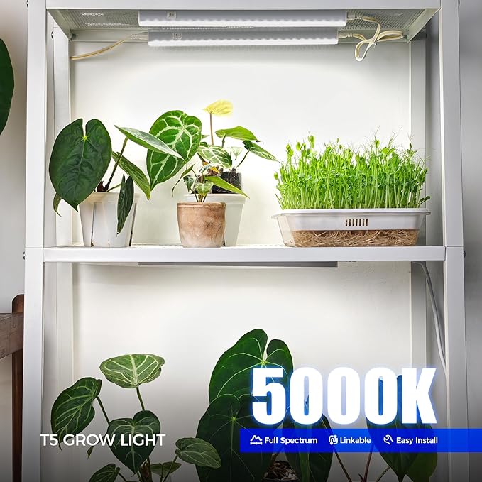Barrina Grow Lights for Indoor Plants, 5000K White Full Spectrum Grow Light, 1ft Plant Growing Lamp, T5 Grow Light Strip, Plug and Play, 4-Pack