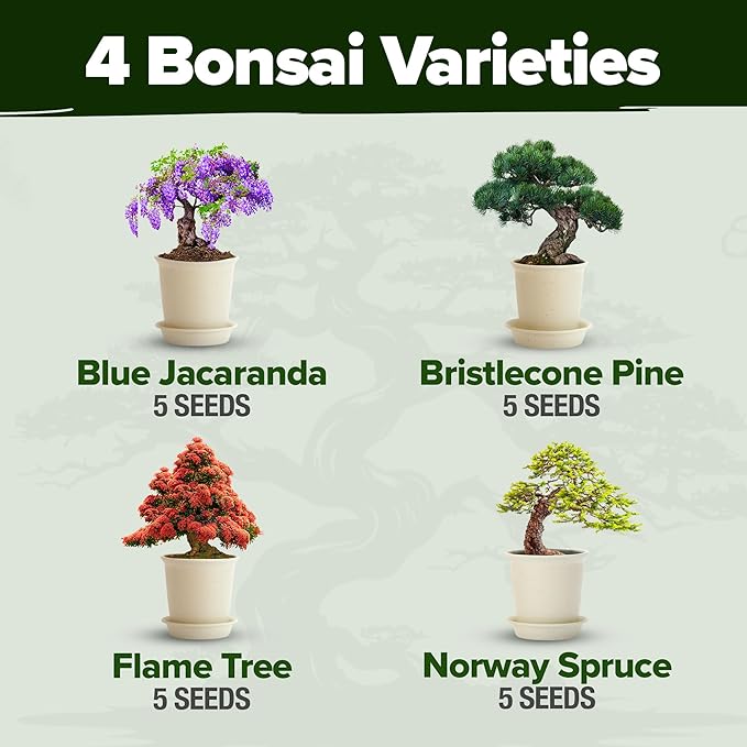 Bonsai Tree Kit - Gifts for Men & Women - Grow 4 Bonsai Trees - Unique Gardening Crafts for Adults, DIY Hobbies for Plant Lovers & Gardeners - Unusual Christmas Gift Ideas for Mom & Dad