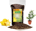 Premium Carambola Potting Soil Mix - Perfect Balance of Nutrients, Drainage, and Aeration for Thriving Starfruit Trees - 2 Quart