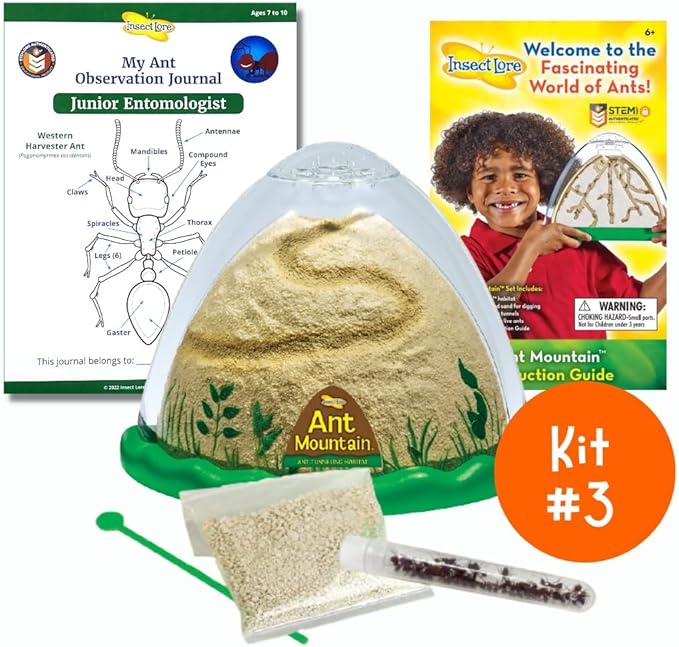 Insect Lore Bug Camp Bundle | Butterfly Kit with 1 Cup Live Caterpillars | Ladybug Land with 1 Tube Live Larvae | Ant Mountain with 1 Tube Live Western Harvester Ants | Life Cycle Figurines & More
