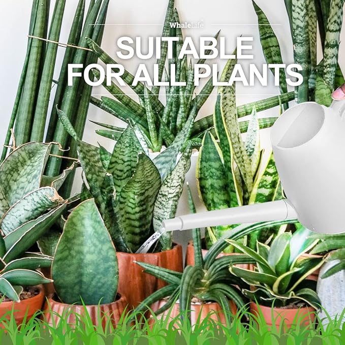WhaleLife Indoor Watering Can for House Bonsai Plants (2.0L, White)