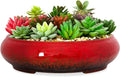 ARTKETTY Succulent Pots - 11.5 Inch Ceramic Bonsai Pots with Drainage, Large Shallow Succulent Planters for Indoor Outdoor Plants, Round Glazed Cactus Flower Plant Container Bowl Home Desk Decor(Red)