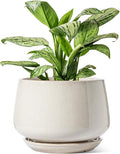 LE TAUCI Ceramic Planters, 12 Inch Pots for Plants, Indoor Plant Pots with Drainage Holes and Saucers, Modern Planters Fit Mid Century Plant Stand, Flower Pots for Indoor Plants, Reactive Glaze Beige