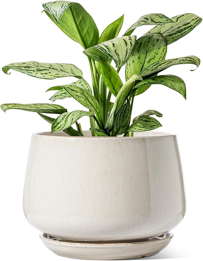 LE TAUCI Ceramic Planters, 12 Inch Pots for Plants, Indoor Plant Pots with Drainage Holes and Saucers, Modern Planters Fit Mid Century Plant Stand, Flower Pots for Indoor Plants, Reactive Glaze Beige