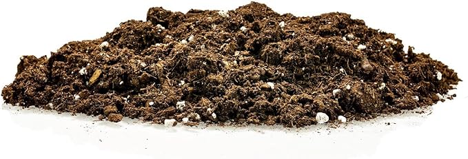 Money Tree Potting Soil - 20 Quart - Soil Mix for Planting or Repotting Guiana Chestnut, Soil Blended to Properly Grow Money Tree Plants (4 Bags of 5 Quart)