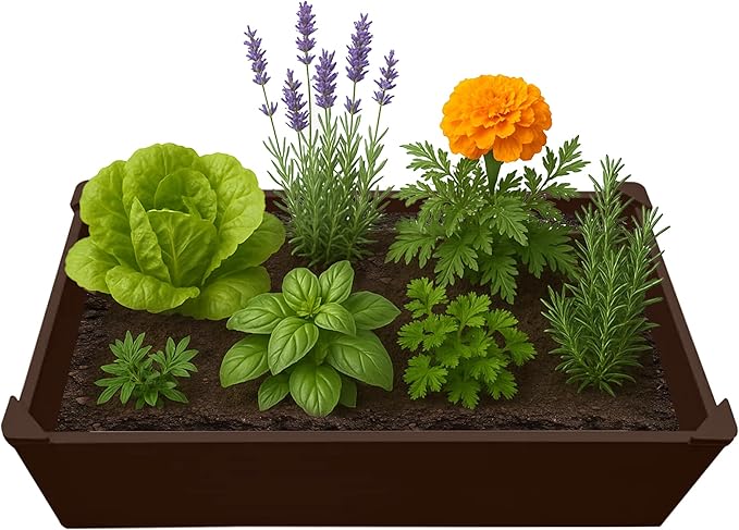 Raised Garden Bed - 2x4 ft Planter Box - Brown HDPE - No Tools Needed - DIY Kit for Urban Gardening, Flowers, Herbs & Vegetables - Made in The USA