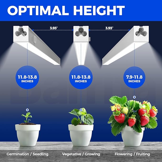 Barrina Grow Lights for Indoor Plants, 5000K White Full Spectrum Grow Light, 1ft Plant Growing Lamp, T5 Grow Light Strip, Plug and Play, 4-Pack