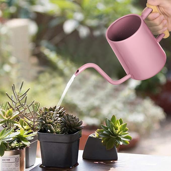 Watering Can Indoor Plants, 35 oz/1000 ml Metal Stainless Steel Watering Can Pot with Long Spout for Indoor House Plants Bonsai Outdoor Garden Flower Decorative (Pink)