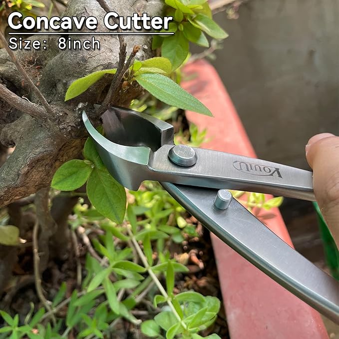6-Piece Bonsai Tool Set,Concave Cutter,Knob Cutter,Jin Pliers,Wire Cutter,Bonsai Scissors, Root Hook