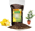 Premium Carambola Potting Soil Mix - Perfect Balance of Nutrients, Drainage, and Aeration for Thriving Starfruit Trees - 1 Quart