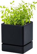 4 Inch Herb Planter Pot, Plastic Planter with Drainage Holes and Saucer, Modern Decorative Gardening Pot for Indoor Plants, Flowers, Herbs, Succulents, Black, Set of 1, 76-Y-B-1