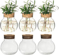 Plant Propagation Station,Hydroponic Terrarium Vase,Desktop Glass Planter Station,for Houses,Garden Decorations,ropagating Hydroponic Plants,Centerpiece Office,Home Garden Decor (6)