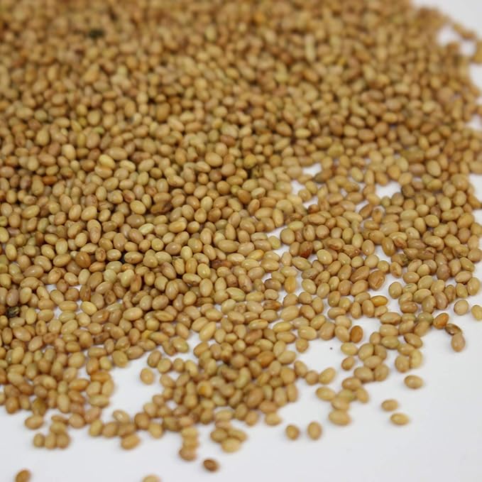 Crimson Clover Seeds (Coated) - 25 Lb Bulk - Garden Cover Crop, Non-GMO, Open Pollinated, Perennial, Heirloom - Coated for Easy Planting