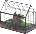 NCYP Geometric Glass Terrarium with Front Opening Door, House Shape Closed Micro Landscape Planter Box for Small Succulent, Cacti - Home Indoor Tabletop Decor, Handmade, Black (No Plants)
