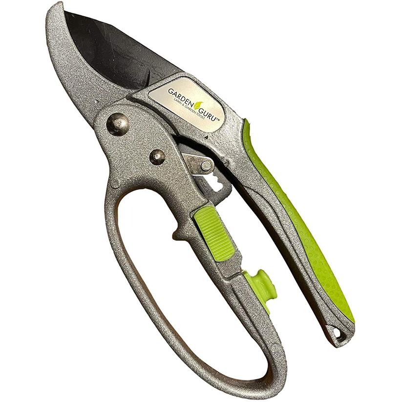 Ratchet Garden Pruning Shears Clippers Deluxe