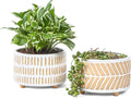 Succulent Pots, 6 Inch Pot for Indoor Plants, Footed Pots for Plants with Drainage, Succulents or Small Plant Indoor Plant Pots, Set of 2