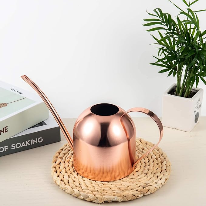 IMEEA Indoor Watering Can for House Plants 33oz/1L Stainless Steel Watering Can with Long Spout (Rose Gold)