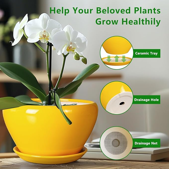 Ceramic Planter for Indoor Plants - 13 Inch Mid-Century Decorative Modern Large Plant Pot with Drainage Hole and Saucer, Home Balcony House Garden Patio Room Office Decor, Yellow