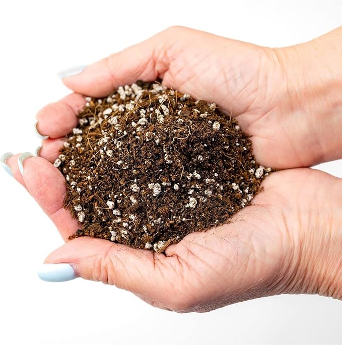 Premium Organic Potting Soil - 10 Quart - The Ideal Growing Medium for Delicious and Nutritious Homegrown Potatoes (2 Bags of 5 Quart)