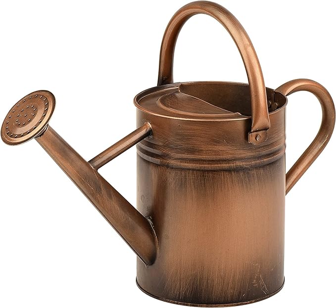 Metal Watering Can for Outdoor and Indoor Plants, Watering Can Decor, 1 Gallon (1 Gallon Copper)